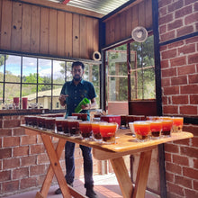 Load image into Gallery viewer, La Soledad, Washed Caturra and Catuaí, Guatemala