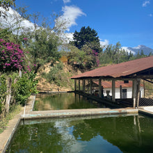 Load image into Gallery viewer, La Soledad, Washed Caturra and Catuaí, Guatemala