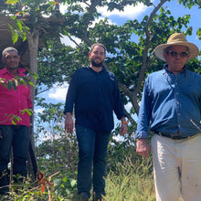 Load image into Gallery viewer, San Cayetano, Washed Red Caturra, El Salvador