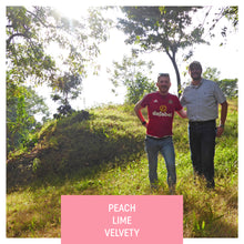 Load image into Gallery viewer, Las Brumas, WFC, Natural Gesha, El Salvador
