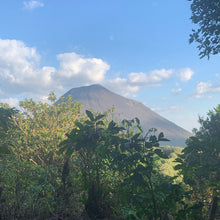Load image into Gallery viewer, Las Brumas, WFC, Natural Pacamara
