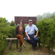 Load image into Gallery viewer, Las Brumas, WFC, Natural Pacamara
