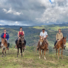 Load image into Gallery viewer, Limoncillo, Washed Caturra, Nicaragua
